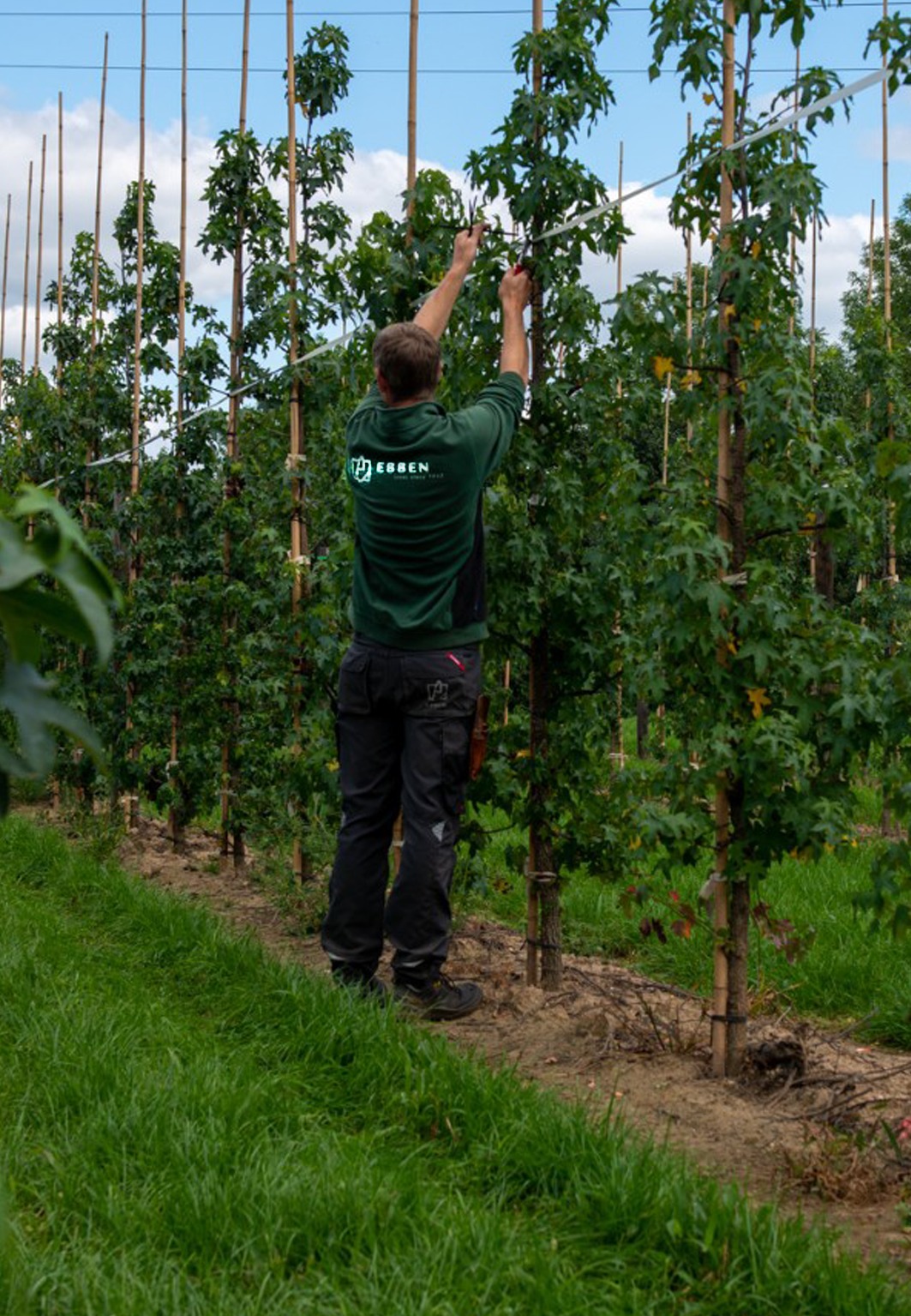 Tuinders en Groenvoorziening Van Ysselt Bedrijfskleding